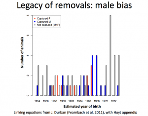 Legacy of captures male bias