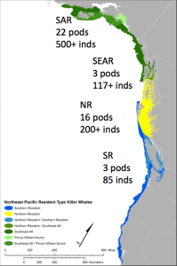 Whales per square kilometer in resident populations